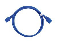 Raritan SecureLock power cable - 10 ft