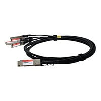 Proline network cable - 10 ft