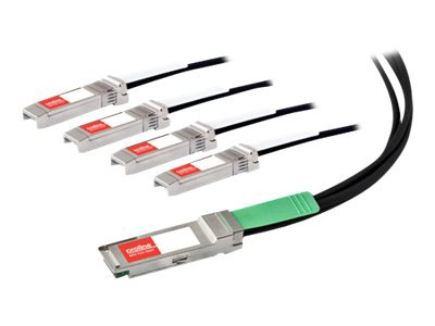 Proline network cable - 33 ft