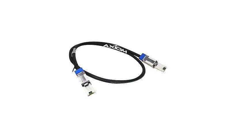 Axiom SAS internal cable - 30 cm