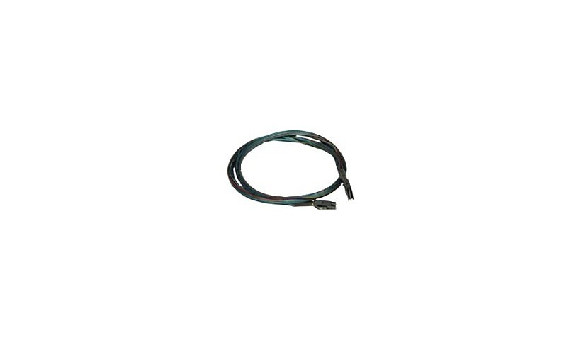 LSI SAS internal cable - 50 cm