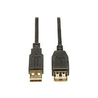 Eaton Tripp Lite Series USB 2.0 Extension Cable (A M/F) 16 ft. (4,88 m) - USB extension cable - USB to USB - 4,88 m