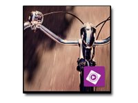 Adobe Premiere Elements ( v. 12 ) - license