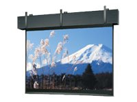Da-Lite Professional Electrol Projection Screen - Projector Screen w/ Wooden Case and Trim - 326in