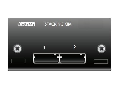 ADTRAN NetVanta Dual Stacking XAUI - network stacking module