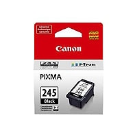 Canon MG2520 Color Photo Printer Renewed 