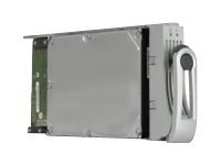 Promise Drive Module - hard drive - 1 TB - SATA 3Gb/s