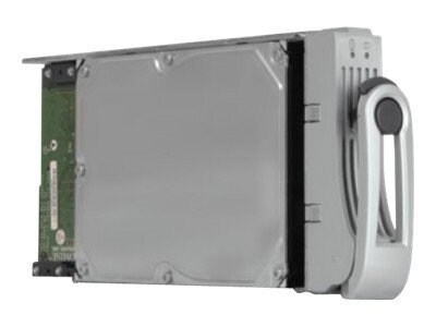 Promise Drive Module - hard drive - 2 TB - SATA 3Gb/s