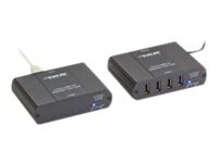 Black Box 4-Port USB 2.0 Ultimate Network or Direct Connect Extender - USB extender