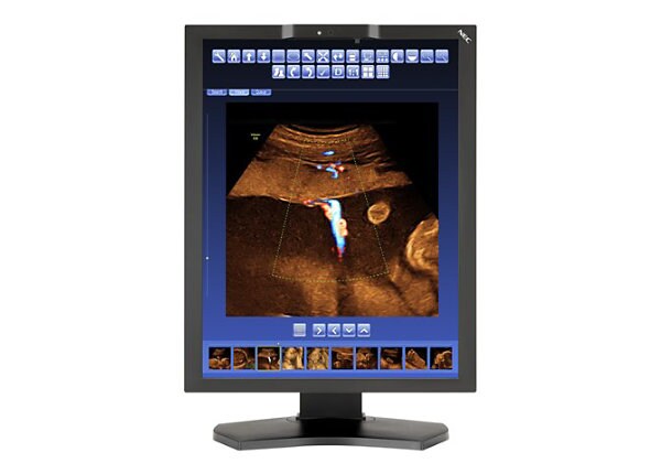 NEC MD210C2 - LCD monitor - 2MP - color - 21.3"