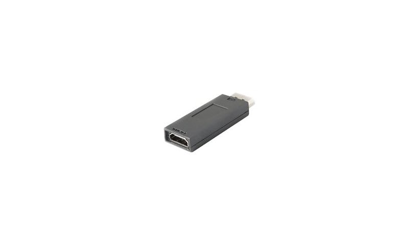 Proline adapter - DisplayPort / HDMI