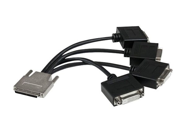 StarTech.com VHDCI to Quad DVI-D Splitter Breakout Cable - VHDCI to 4 DVI - DVI cable - 22 cm