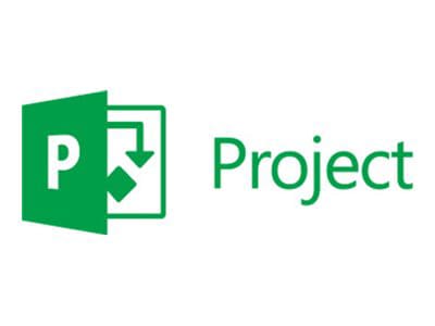 Microsoft Project Pro for Office 365 - subscription license (1 year ...