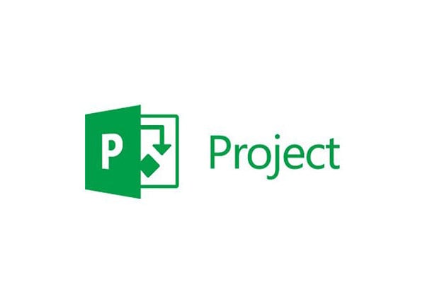 Microsoft Project Pro for Office 365 - subscription license (1 year) - 1 user