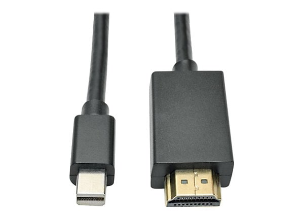 Hysterisch shuttle Arne Tripp Lite 6ft Mini DisplayPort to HD Adapter Converter Cable mDP to HD  1920 x 1080 M/M 6' - adapter cable - DisplayPort - P586-006-HDMI - Audio &  Video Cables - CDW.com