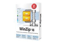 WinZip Standard ( v. 18 ) - license