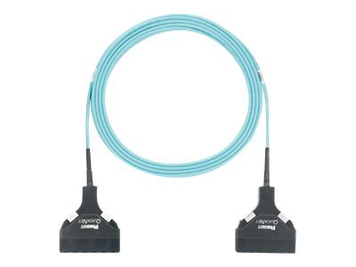 Panduit QuickNet SFQ Trunk Cable Assemblies - network cable - 10.1 m - aqua