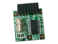 MSI TPM 3.19 - hardware security chip