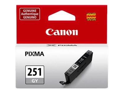 Canon CLI-251GY - gris - original - réservoir d'encre