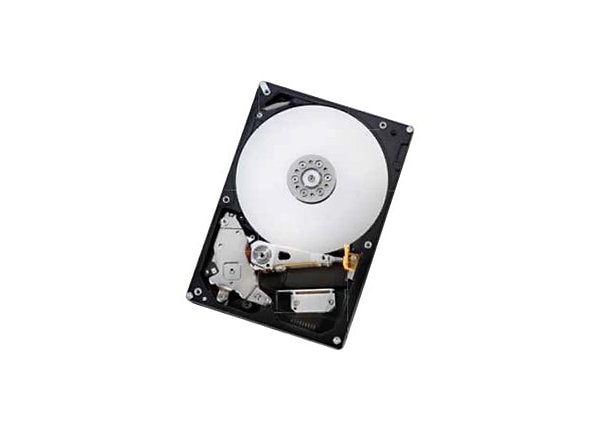 HGST Deskstar NAS 4 TB Internal HDD