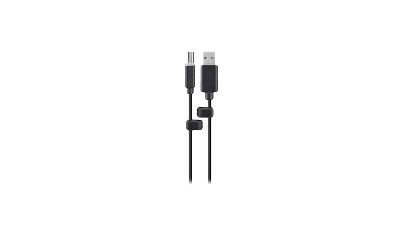 Belkin Common Access Card USB Cable - USB cable - USB to USB Type B - 6 ft