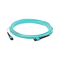 Proline 5m MPO (F)/MPO (F) 12-strand Crossover Aqua OM4 OFNR MMF Cable