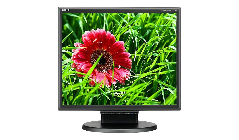 NEC MultiSync E171M-BK - LED monitor - 17"