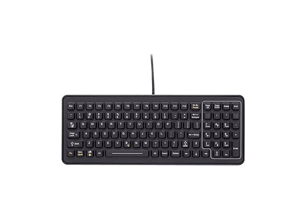 iKey Industrial SLK-101-M - keyboard - black