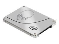 Intel Solid-State Drive 730 Series - solid state drive - 240 GB - SATA 6Gb/s