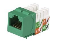 Black Box GigaTrue2 CAT6 Jack - modular insert