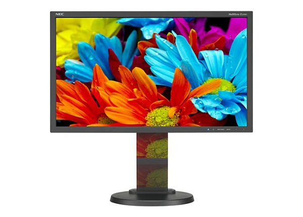 NEC MultiSync E224Wi-BK - LED monitor - 22"