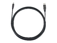 Brother 10' Mobile USB Cable