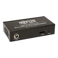 Tripp Lite 2-Port Video Displayport to 2 X DVI Monitor Video Splitter TAA GSA - video splitter - 2 ports -