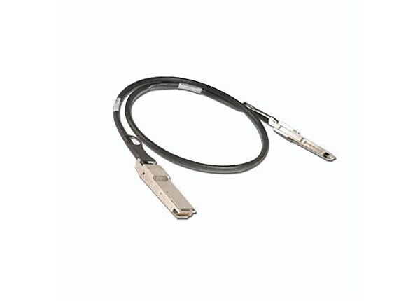 NetApp direct attach cable - 3.3 ft
