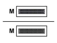 Palo network cable - 10 m