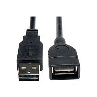 Eaton Tripp Lite Series Universal Reversible USB 2.0 Extension Cable (Reversible A to A), 6-in. (15.24 cm) - USB