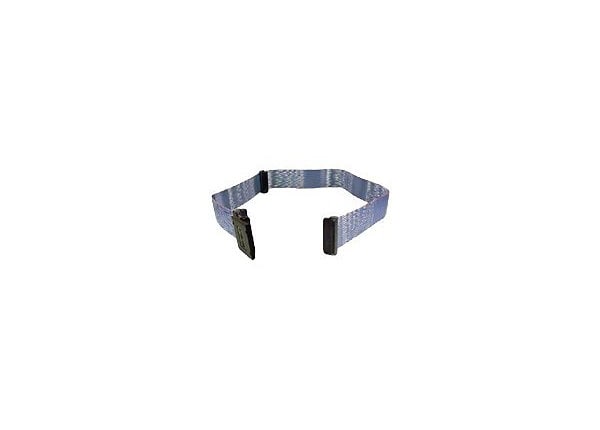 Belkin Internal SCSI II LVD Differential Dual-Drive Ribbon Cable - SCSI internal cable - 81 cm