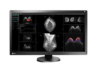 EIZO RadiForce RX850 - LED monitor - 4K - 8MP - color - 31.1"