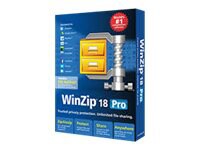 WinZip Pro ( v. 18 ) - license