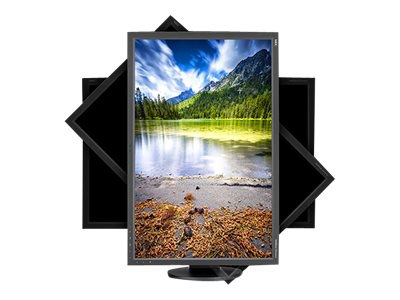 NEC MultiSync EA304WMI-BK - LED monitor - 30"