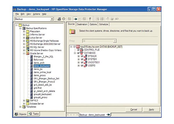 Micro Focus Data Protector On-line extension - license - 1 system / partition