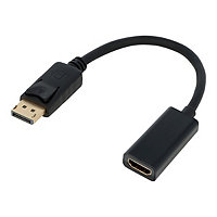 VisionTek adapter - DisplayPort / HDMI