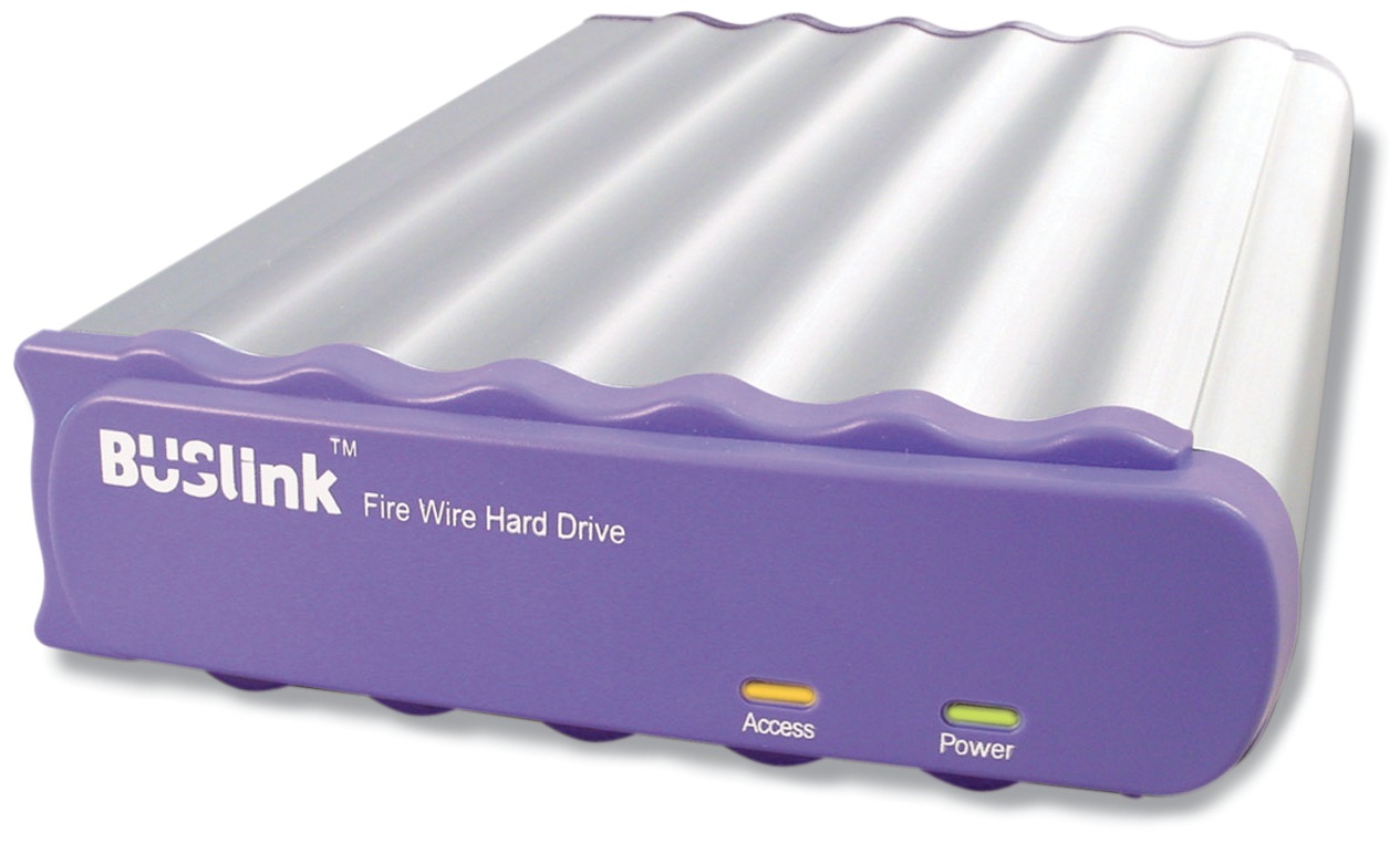 BUSlink 100GB FireWire Hard Drive