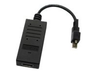DT Research display adapter - 7.9 in