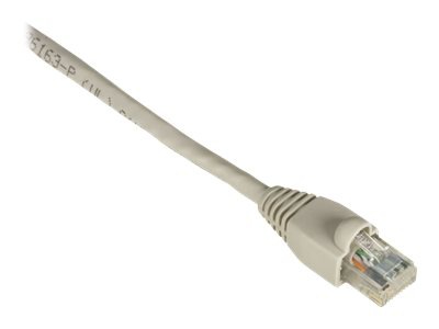 Black Box GigaTrue patch cable - 1 ft - beige