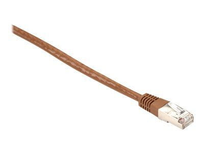 Black Box patch cable - 6 ft - brown