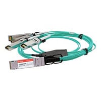 Proline network cable - 3 m