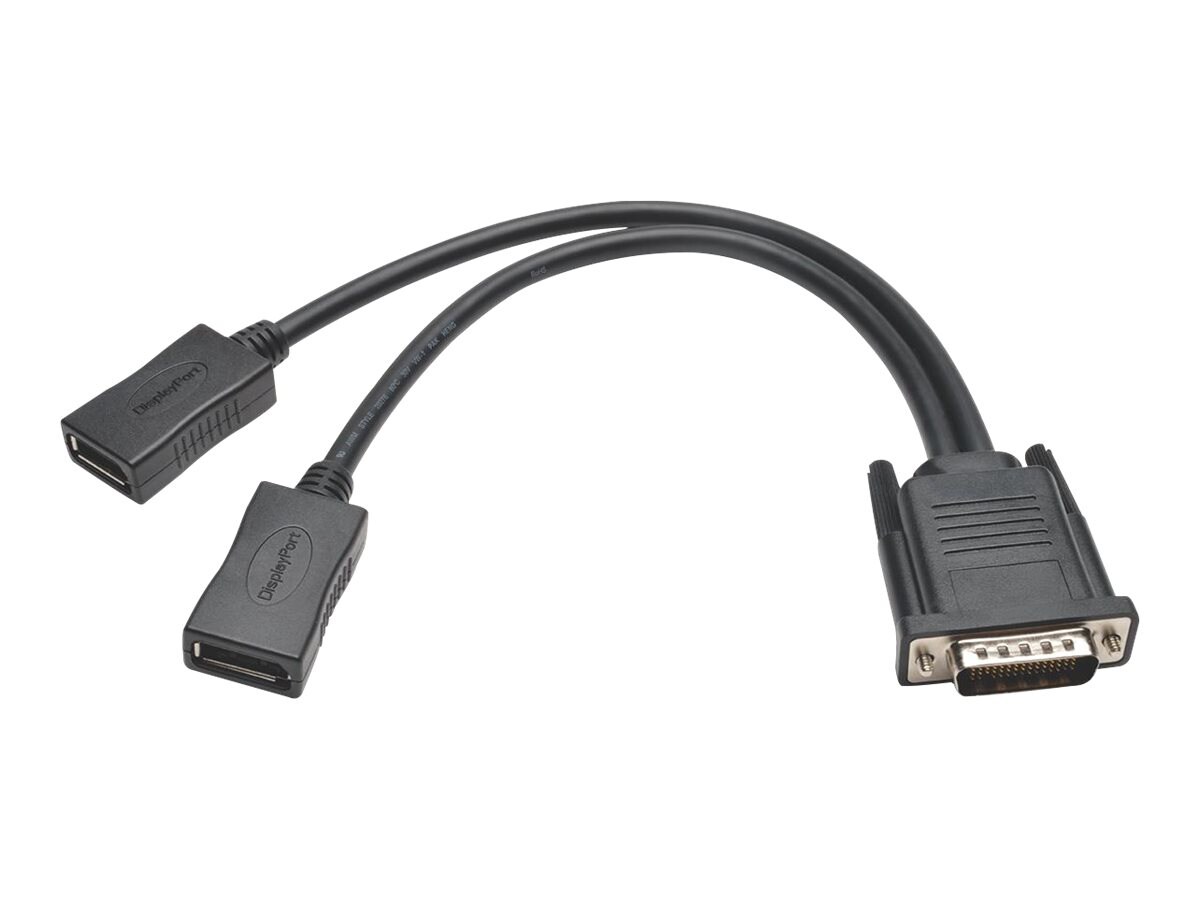 Tripp Lite 1ft DMS-59 to Dual DisplayPort Splitter Y Cable M/Fx2 1' - video adapter - 1 ft