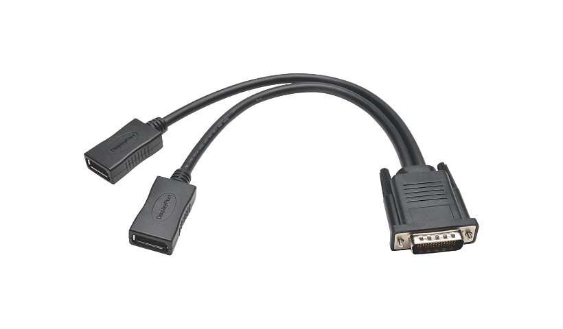 Tripp Lite 1ft DMS-59 to Dual DisplayPort Splitter Y Cable M/Fx2 1' - video adapter - 1 ft