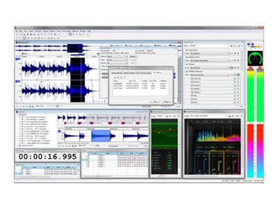 Sound Forge Pro ( v. 11 ) - license